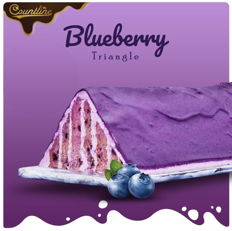 Blueberry Triangle