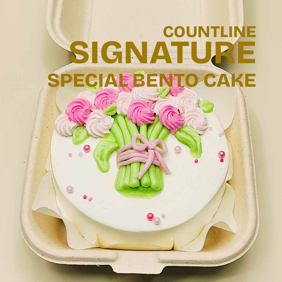 Special Bento Cake 2