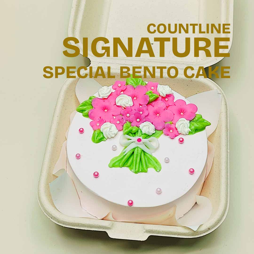 Special Bento Cake