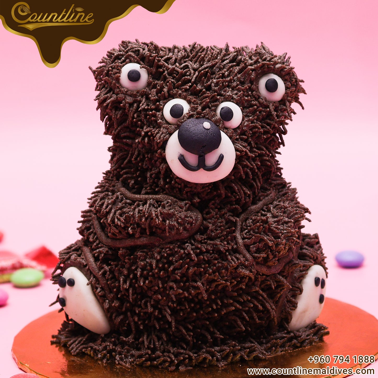 Special Bear Cake