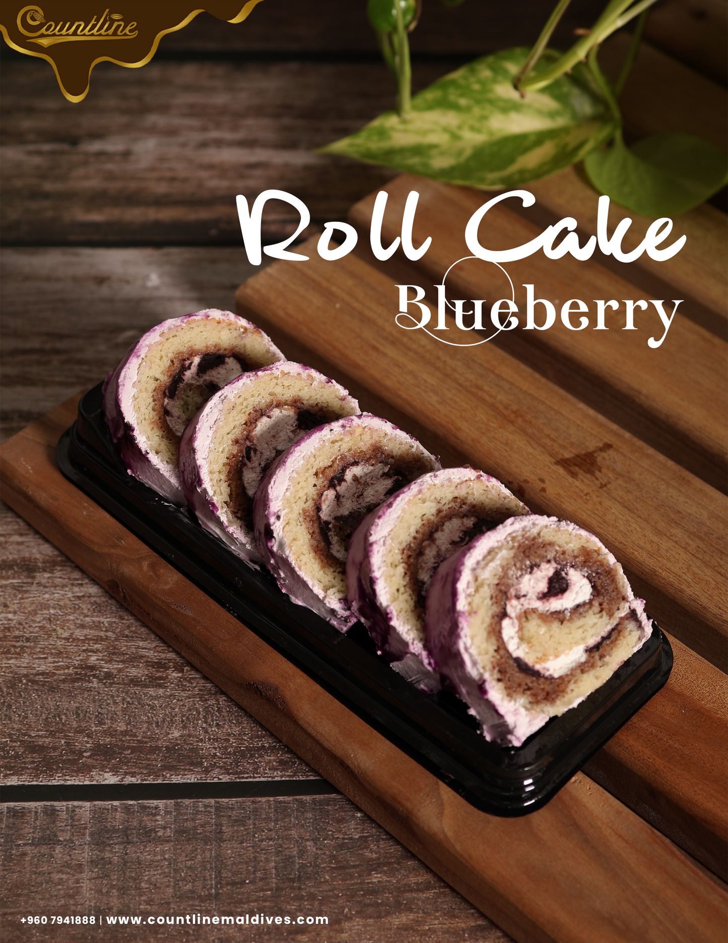 Blueberry Roll Cake