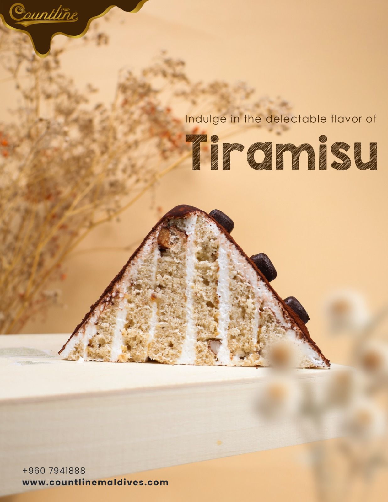 Tiramisu Triangle Slice (6 pcs)