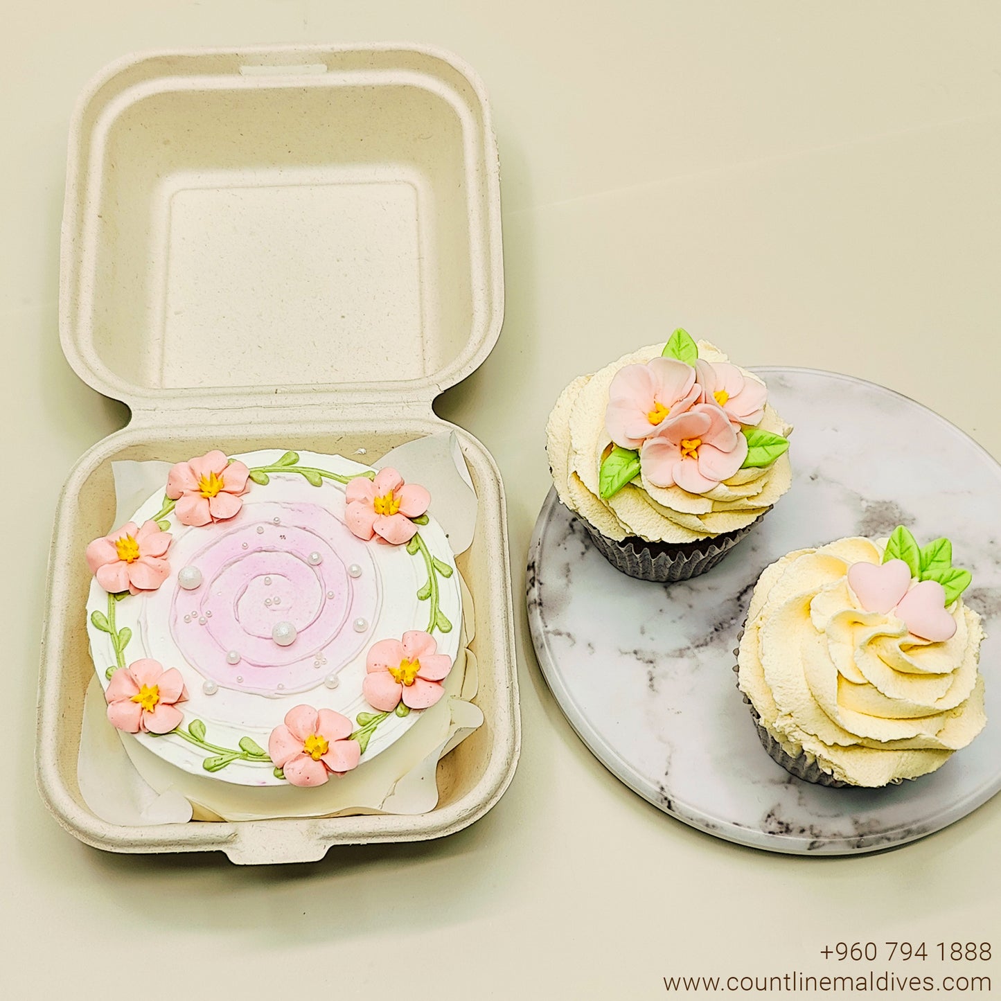 Special Bento Cake & 2 Cupcakes box