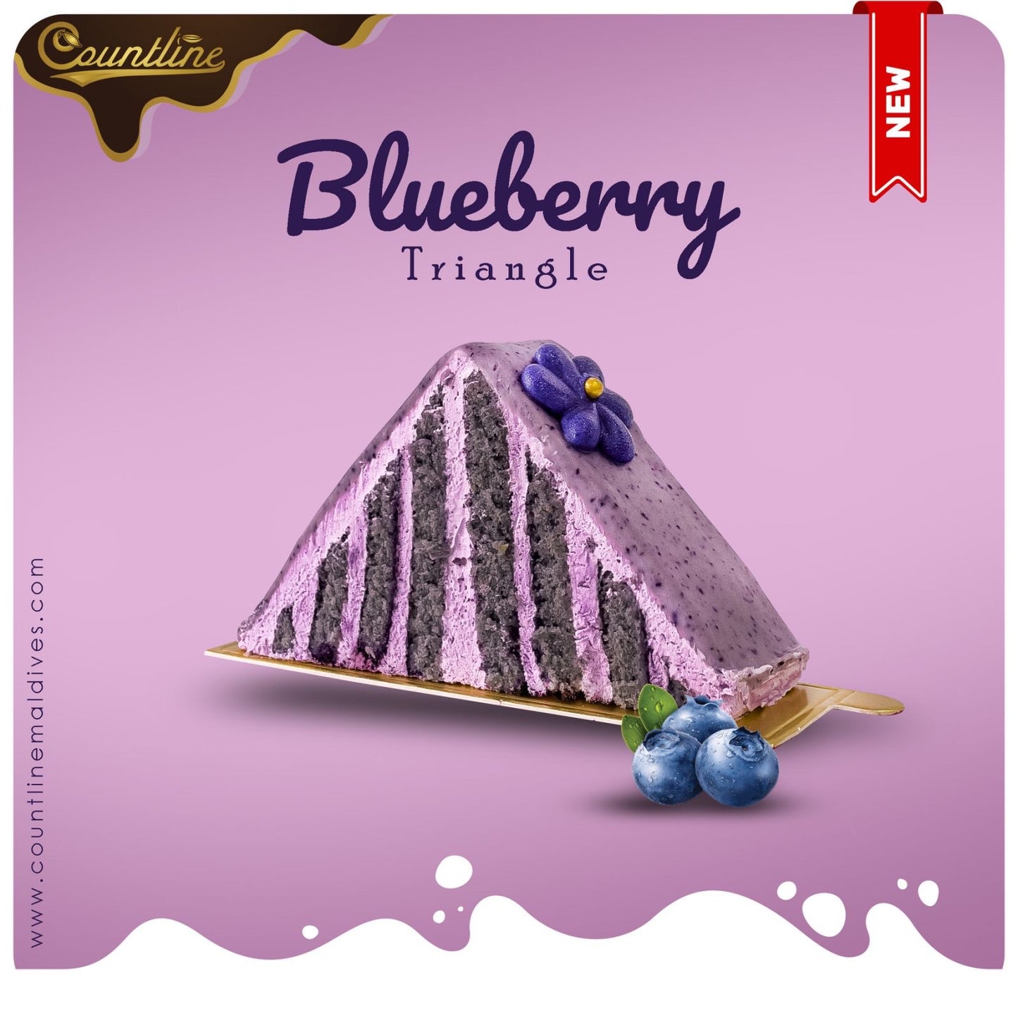 Blueberry Triangle (6 Pcs)