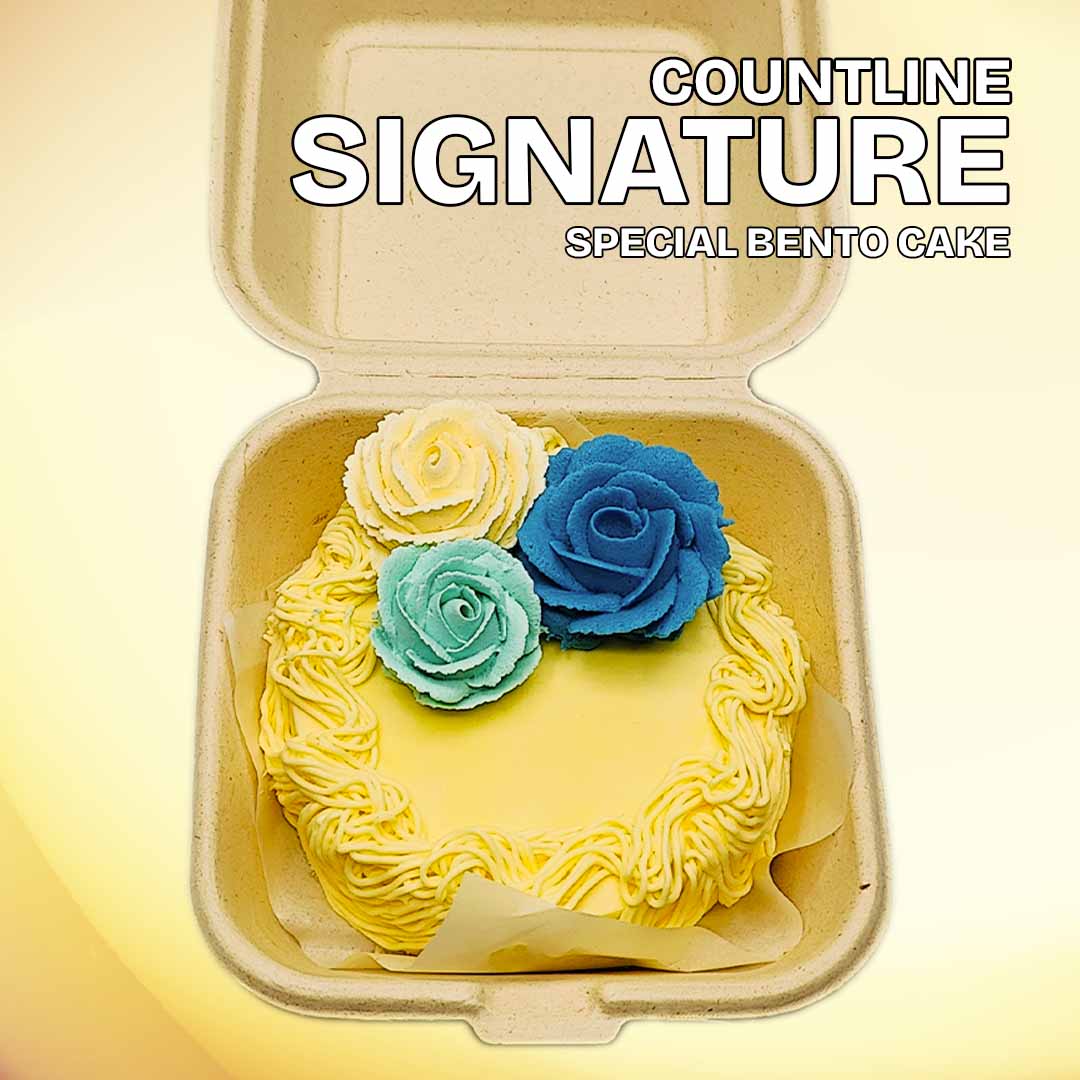 Special Bento Cake