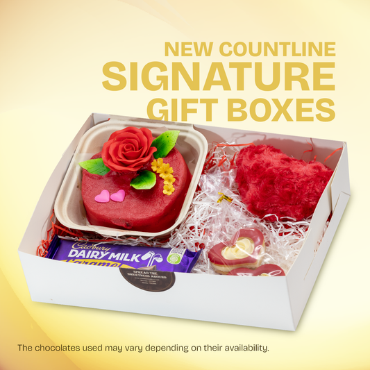 Chocolate Cream Cake Bento Gift Box