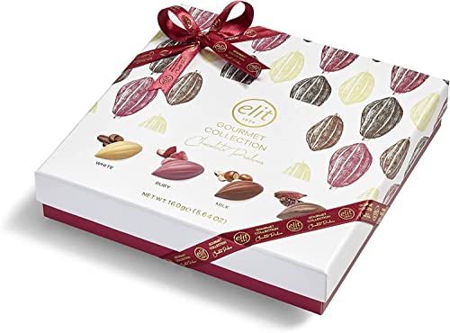 Gourmet Collection Chocolate Pralines Ruby 160g