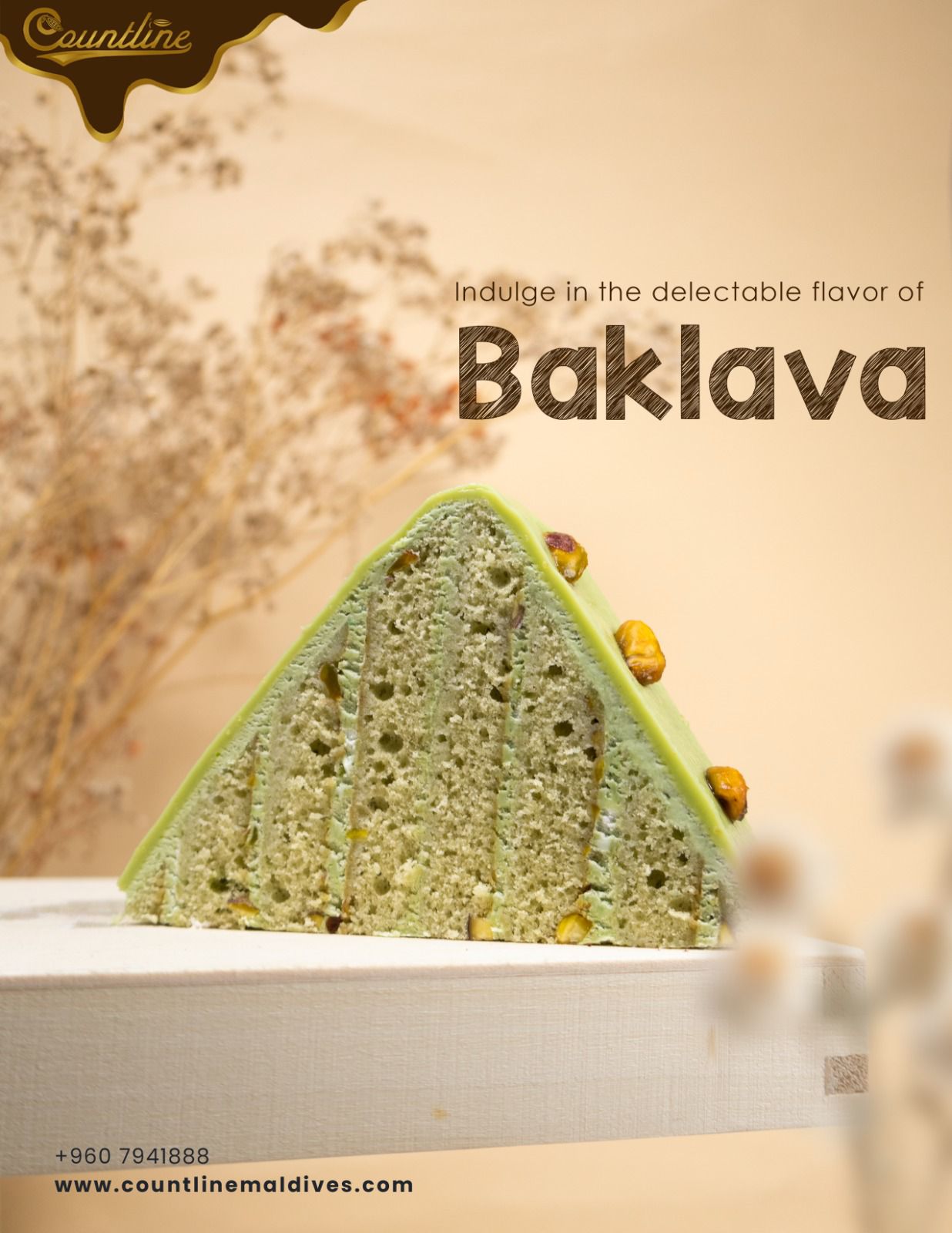 Baklava Triangle Slice (6 pcs)