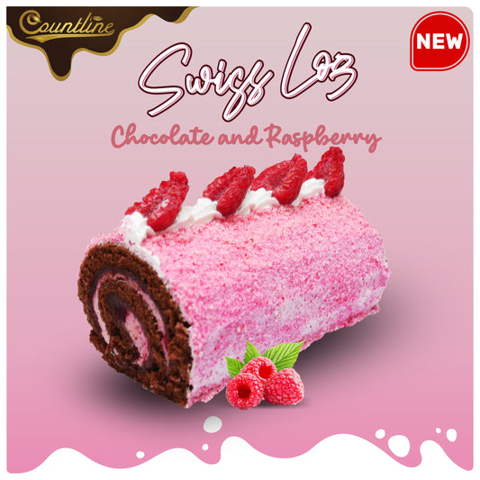 Chocolate and Raspberry Swiss Log