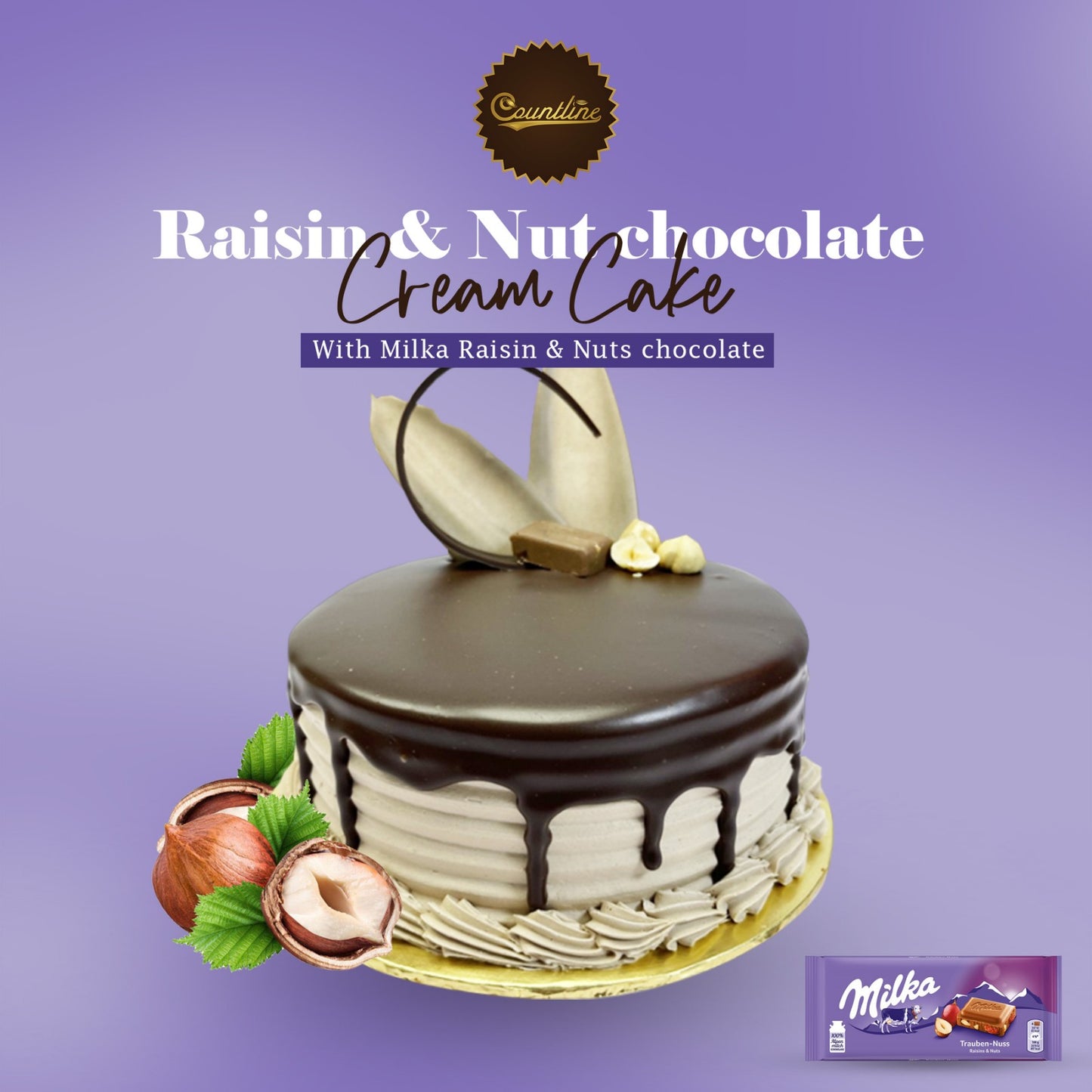 Raisin & Nut Chocolate Cream Cake