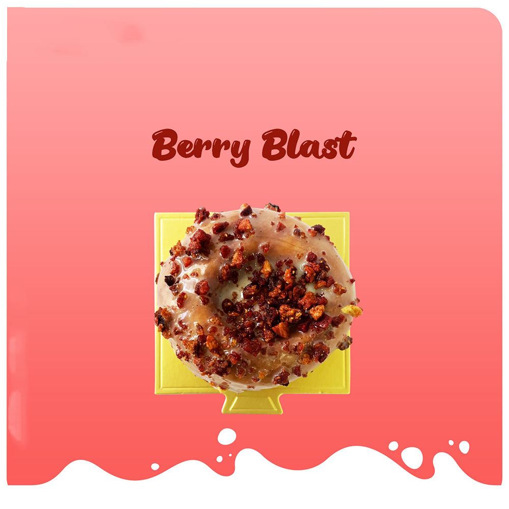 [MVB0273] Berry Blast Doughnut