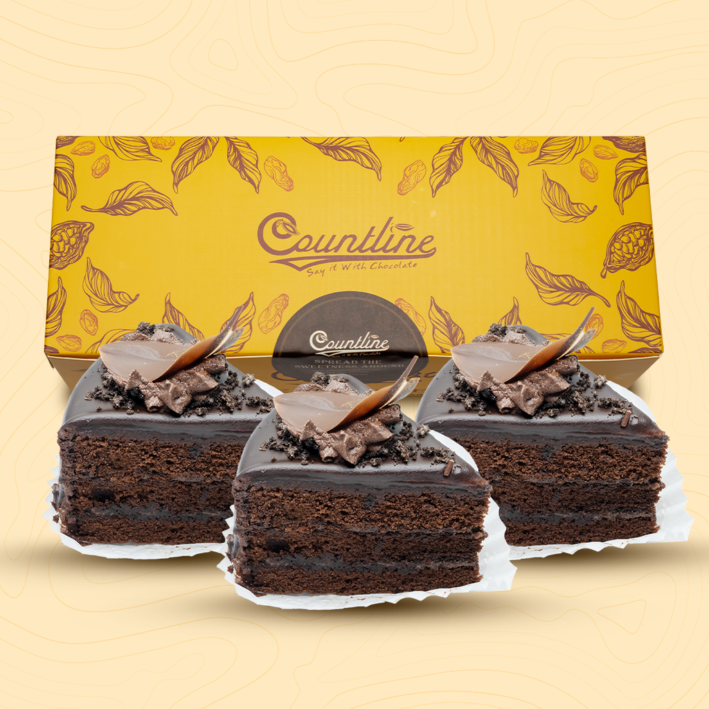 Dark Chocolate Cake Slice