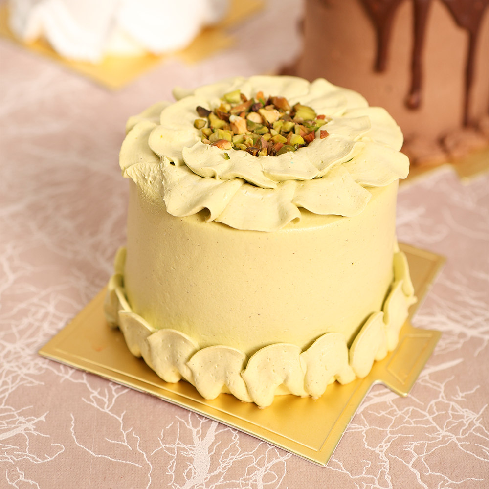 [MVB0475] Pistachio opera cake 2.5â€