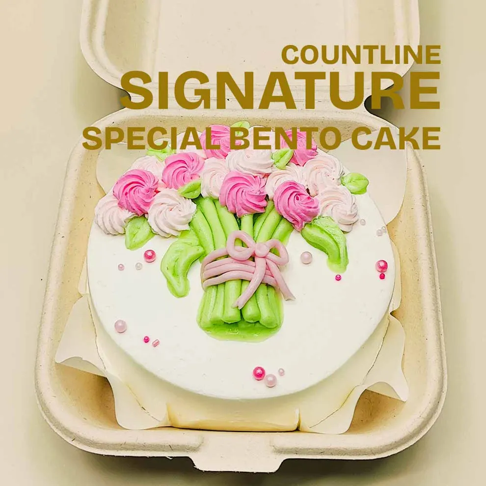 [MVB0612] Chocolate Bento Cake